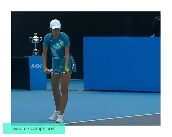 三盘惜败老将张帅止步澳网首轮 三盘惜败老将张帅止步澳网首轮